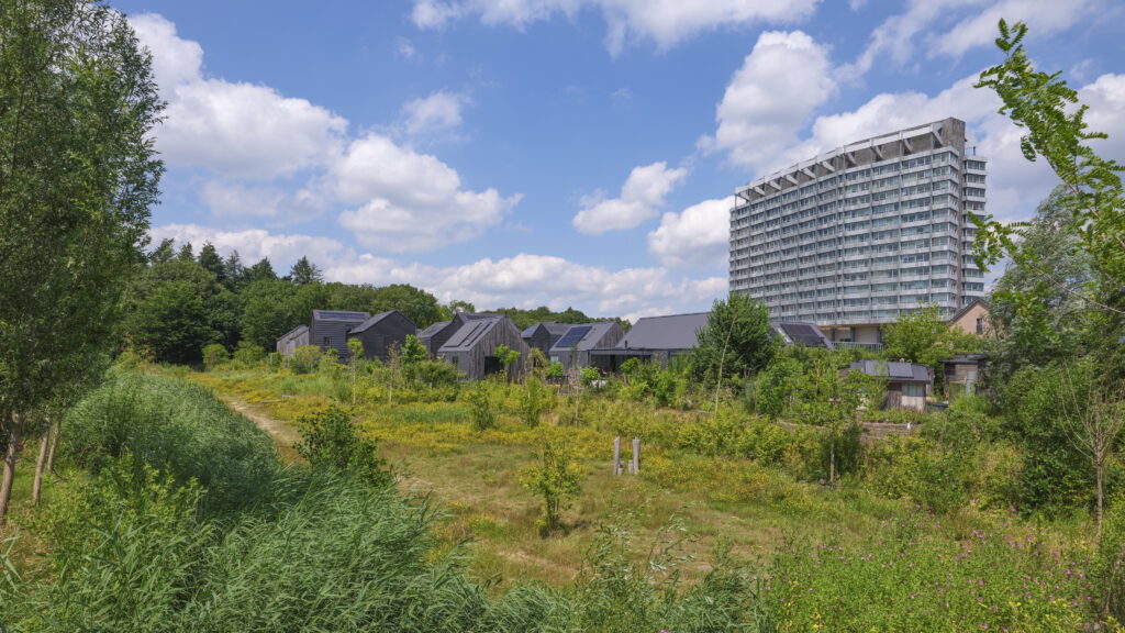 mega-wadi naast CPO-woningen in natuurinclusieve woonwijk Vredeoord