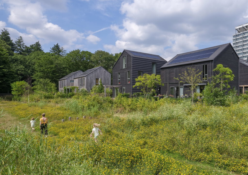 foto houten woningen aan wadi in natuurinclusieve woonwijk