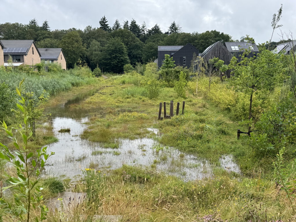 foto regenwater in wadi na regenbui groene woonwijk