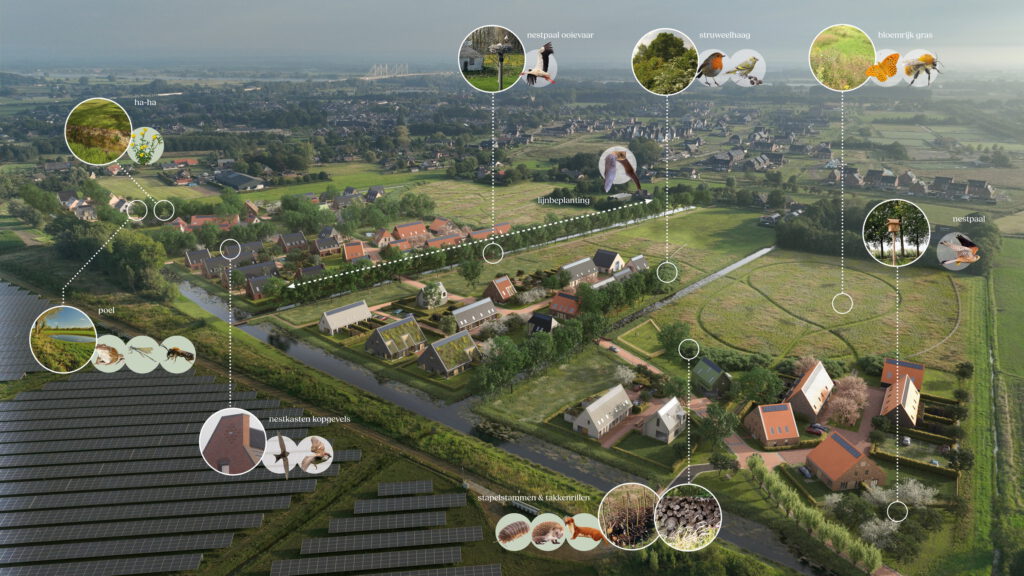 Vogelvluchtimpressie van nieuwe woonwijk in het landschap met maatregelen voor biodiversiteit